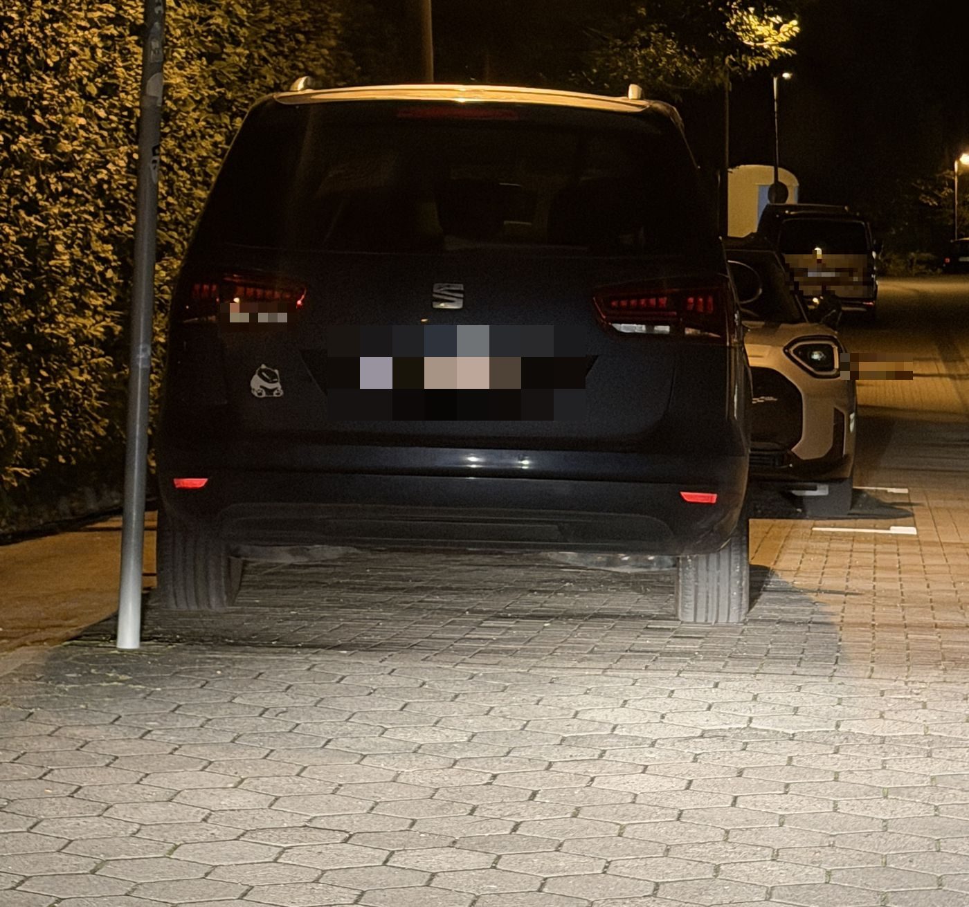 Auto quer zwischen Hecke und markierten Stellplätzen bei Nacht